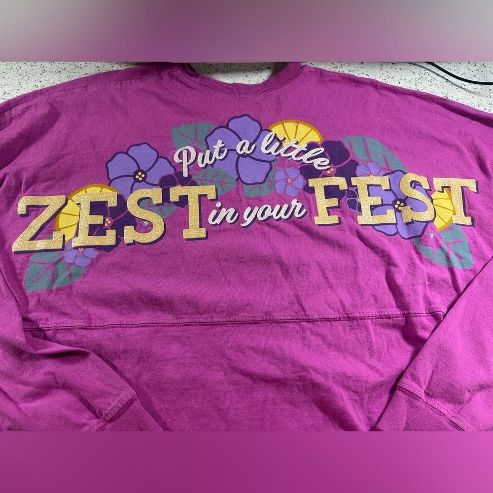 Disney Spirit Jersey